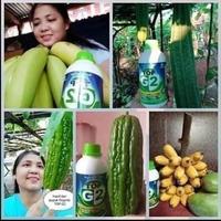 Gambar Pupuk TopG2 500 ml (buah lebih lebat dan besar) dari Vania_shop_originalll undefined 2 Tokopedia