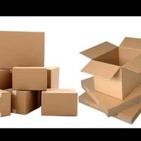 Gambar Safety Packing Kardus dan Bubble Wrap - Kardus + Bubble, Kecil dari Raditya Exopets undefined 3 Tokopedia