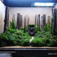 Gambar hardscape jungle waterfall 60 cm dari pickup undefined 1 Tokopedia