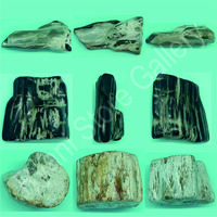 Gambar HIASAN/PAJANGAN UNIQ BATU FOSIL KAYU (PETRIFIED WOOD) - HD-SDB-001 dari Ryani Store Gallery undefined 4 Tokopedia