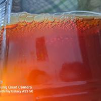 Gambar Scoby Kombucha+100ml starter untuk produksi 1liter teh kombucha dari Ragyeast undefined 4 Tokopedia