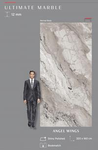 Gambar GRANIT QUADRA BIG SLAB Angel Wings 320x160 - RANDOM dari GRANIT MAJU JAYA ABADI undefined 1 Tokopedia