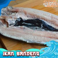 Gambar Ikan bandeng cabut duri 1Kg (Bersih tulang dan duri) Bandeng Frozen dari Festival seafood jakarta undefined 3 Tokopedia