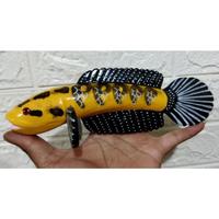Gambar Replika Patung Channa Ys/Maru 20cm dari autis storee undefined 1 Tokopedia