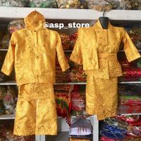 Gambar Baju adat melayu anak tari karnaval pawai kartini provinsi riau TK SD - Stelan TK Cewek dari Rizki ridh0 undefined 1 Tokopedia
