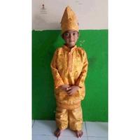 Gambar Baju adat melayu anak tari karnaval pawai kartini provinsi riau TK SD - Stelan TK Cewek dari Rizki ridh0 undefined 4 Tokopedia