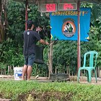 Gambar umpan jagung amis special tournament - Bolu sereh sp dari Essence paragon undefined 2 Tokopedia