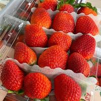 Gambar Strawberry Korea Premium 1box Fresh Import Korea Original dari Ari NK Freshfruits undefined 4 Tokopedia