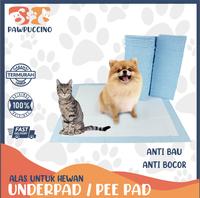 Gambar Underpad / Training Pad / Pee Pad Alas Pipis Kucing Anjing dari Pawpuccino Pet Shop undefined 1 Tokopedia