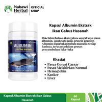 Gambar Kapsul Albumin Ekstrak Ikan Gabus Elbumina Hasana dari NABAWI HERBAL JOGJA undefined 3 Tokopedia