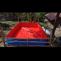 Gambar kolam terpal ikan ukuran 2x4x1 tipe A12 korea asli tebal dari Anita terpal undefined 1 Tokopedia