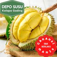 Gambar Durian Beku Motong Palu | Musang King | Malaysia Duren Monthong Mochi - Musang King dari Depo Susu Kelapa Gading undefined 1 Tokopedia