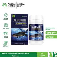 Gambar Kapsul Albumin Ekstrak Ikan Gabus Elbumina Hasana dari NABAWI HERBAL JOGJA undefined 1 Tokopedia