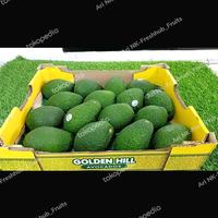 Gambar Avocado Hass Ausie | Alpukat Hass Australia Fresh Import 1box dari Ari NK Freshfruits undefined 2 Tokopedia