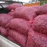 Gambar Waring Sayur 80 cm x 120 cm Karung Sayur HIjau Merah Kuning TOP Murah - Merah dari Markas Karung undefined 2 Tokopedia
