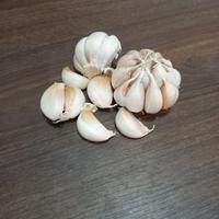 Gambar BAWANG PUTIH SICO/SINCO/HONAN 1 KG dari Juragan Rempah Indonesia undefined 2 Tokopedia
