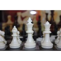 Gambar UB Permainan Papan Catur Magnet Folding Chessboard dari SOLO MICRO undefined 3 Tokopedia