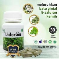 Gambar LhiforGin Liza Herbal - Obat Peluruh Batu Ginjal & Saluran Kemih Urin dari MCL undefined 1 Tokopedia