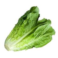 Gambar Sayur Romaine Segar Berkualitas - 500 Gram dari Pasar Abu Luqman undefined 1 Tokopedia