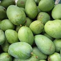 Gambar Mangga Harumanis Harum Manis 1 kg Segar dan Matang dari Tukang Tape Asli undefined 1 Tokopedia