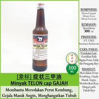 Gambar [USFI] Minyak TELON Cap GAJAH [象标 症状 三甲油] Kemasan Botol Kaca Jumbo - 300ml dari Toko Obat Jian An Tang undefined 2 Tokopedia