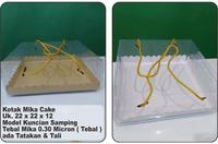 Gambar Kotak Mika Kemasan Kue & Makanan / Hantaran Uk. 22 x 22 x 12 cm ( 0.30 - Putih dari CV ANDO PUTRA JAYA undefined 2 Tokopedia