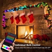 Gambar Smart Fairy Light Lampu Natal RGB Pintar 10m 100 lampu dari Mainar Store Ok undefined 5 Tokopedia