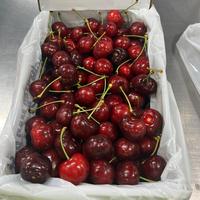 Gambar Buah Cherry Import Premium | Fresh Cherries import - 1kg dari DR Buah Segar undefined 2 Tokopedia