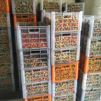 Gambar Buah Rampai 500 Gram dari Rampai Berkah Bersama undefined 3 Tokopedia