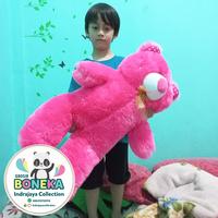 Gambar Boneka teddy bear beruang lucu ukuran sedang teddybear Light pink dari INDRAJAYACOLLECTION undefined 2 Tokopedia