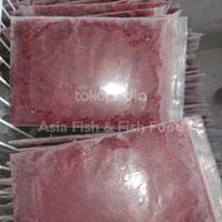 Gambar cacing beku cacing BW cacing darah dari Asia Fish &amp; Fish Food undefined 1 Tokopedia