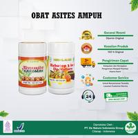 Gambar Obat Asites Perut Buncit bengkak Kelebihan Cairan Paling Ampuh Alami dari DE NATURE CENTER INDONESIA. undefined 1 Tokopedia