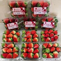 Gambar Strawberry Korea Premium 1box dari Ari NK Freshfruits undefined 3 Tokopedia