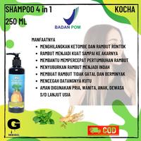 Gambar Shampo Obat Anti Ketombe Berkerak Rambut Anti Rontok Parah Kocha BPOM - Biru 4 in 1 dari Gobabel undefined 4 Tokopedia