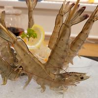 Gambar Udang vanami hidup dari Lucky Seafood undefined 4 Tokopedia