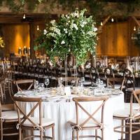 Gambar sewa kursi Tiffany /sewa kursi cross /sewa kursi wedding - Tiffany gold dari AMPartyMaker undefined 1 Tokopedia