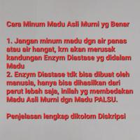 Gambar Madu Liar Hutan - 100% Asli Murni - 1kg dari Madu ASOHA_NEW undefined 5 Tokopedia