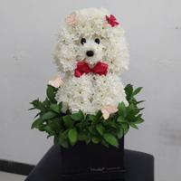 Gambar Flower Character dari Setangkai Florist undefined 4 Tokopedia