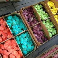 Gambar ANAK AYAM WARNA WARNI 1 BOX ISI 102 EKOR - DOC AYAM PELANGI dari betta center_NEW undefined 2 Tokopedia