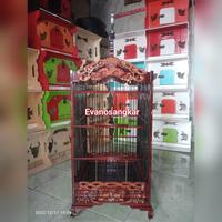 Gambar Kandang burung kenari,kacer,pentet no 2 kayu jati ukir kembang tampar dari Evanosangkar undefined 1 Tokopedia