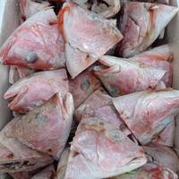 Gambar Kepala Kakap dari Fish Mart Agen Ikan Laut undefined 2 Tokopedia