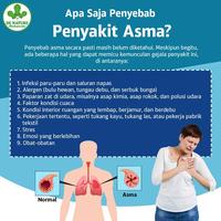 Gambar Obat Paru Basah Gurah Asli Obat Gurah De nature dari kia azahra oficial undefined 4 Tokopedia