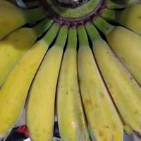 Gambar Pisang Kepok persisir dari Malakeyashop undefined 3 Tokopedia