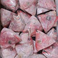 Gambar Kepala Kakap dari Fish Mart Agen Ikan Laut undefined 3 Tokopedia