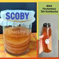 Gambar Scoby bibit jamur kombucha//scoby premium//scoby tebal//diameter 8 cm - Tebal 0,5 cm dari Snackity kombucha undefined 1 Tokopedia