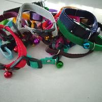 Gambar Kalung Kucing Polos + Lonceng - Ungu Muda dari Fur Pet Shop undefined 3 Tokopedia