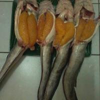 Gambar Ikan Sebilang Dan Bertelur 1kg - Bertelur dari Ud Bahari Graha Bintaro undefined 2 Tokopedia