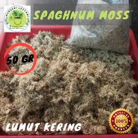 Gambar Sphagnum Moss / Lumut Kering Media Tanam 50 gr - 50 GR dari Nurseri Lestari undefined 3 Tokopedia