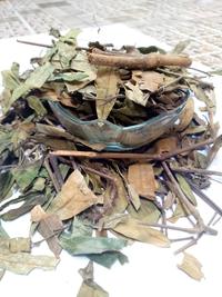 Gambar Daun Gandarusa Kering / Godhong Rusa / Trus 250gr dari Kusuma Dewi Jogja undefined 3 Tokopedia