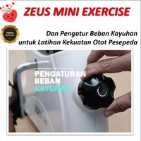Gambar Sepeda Statis ZEUS MINI STATIC BIKE - Sepeda Terapi dari Sepeda98 undefined 4 Tokopedia